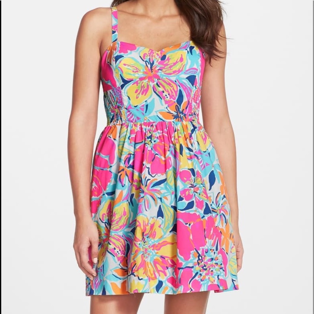 Christine Print Poplin Fit & Flare Dress